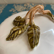 画像をギャラリービューアに読み込む, ムスティエのレギュミエ(Legumier)