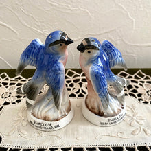 画像をギャラリービューアに読み込む, ツバメのソルト&ペッパーシェイカー