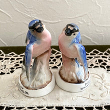 画像をギャラリービューアに読み込む, ツバメのソルト&ペッパーシェイカー