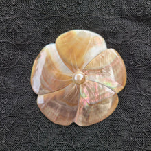 画像をギャラリービューアに読み込む, マザーオブパールブローチ