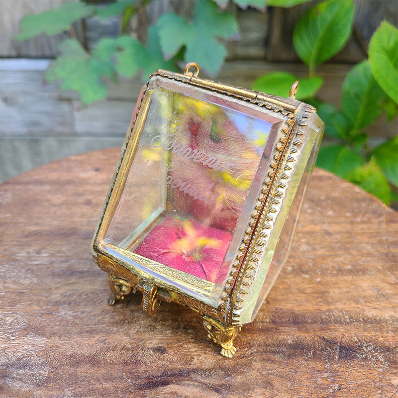 ナポレオントワ 懐中時計用ガラスケース 19世紀 フランス