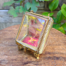 画像をギャラリービューアに読み込む, ナポレオントワ 懐中時計用ガラスケース【送料無料】