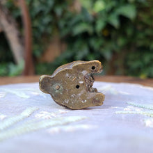 画像をギャラリービューアに読み込む, ブロンズラビット