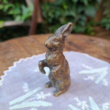 画像をギャラリービューアに読み込む, ブロンズラビット