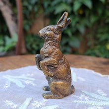 画像をギャラリービューアに読み込む, ブロンズラビット