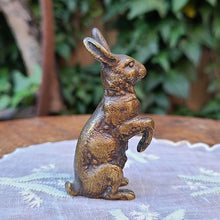 画像をギャラリービューアに読み込む, ブロンズラビット