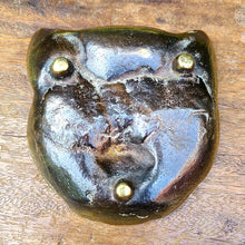 画像をギャラリービューアに読み込む, キャットアッシュトレイ(A)