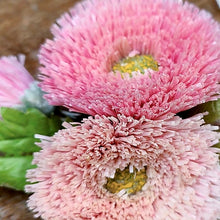 画像をギャラリービューアに読み込む, コサージュ