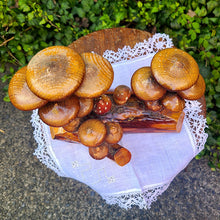 画像をギャラリービューアに読み込む, キノコオブジェ