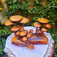 画像をギャラリービューアに読み込む, キノコオブジェ