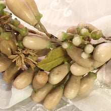 画像をギャラリービューアに読み込む, ワックスフラワー花冠