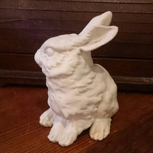 画像をギャラリービューアに読み込む, 白ウサギ陶器置物