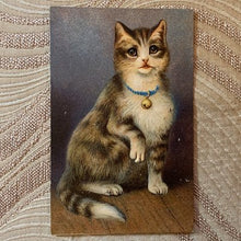 画像をギャラリービューアに読み込む, 猫さんポストカード