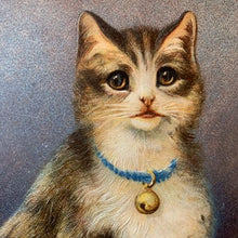 画像をギャラリービューアに読み込む, 猫さんポストカード