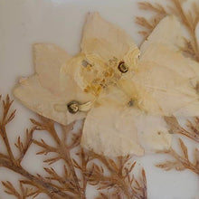 画像をギャラリービューアに読み込む, ドライフラワー入りブローチ