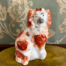 画像をギャラリービューアに読み込む, スタッフォードシャードッグ(鼻黒)