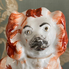 画像をギャラリービューアに読み込む, スタッフォードシャードッグ(鼻黒)