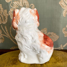 画像をギャラリービューアに読み込む, スタッフォードシャードッグ(鼻黒)