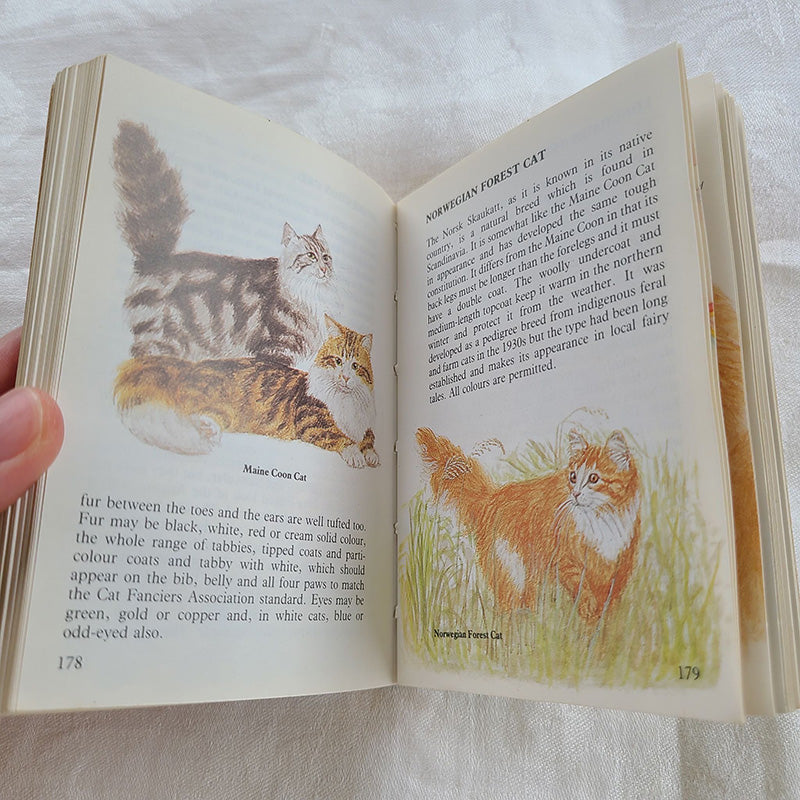 ネコ洋書 英語 イギリス | アンティーク・ヴィンテージ雑貨の