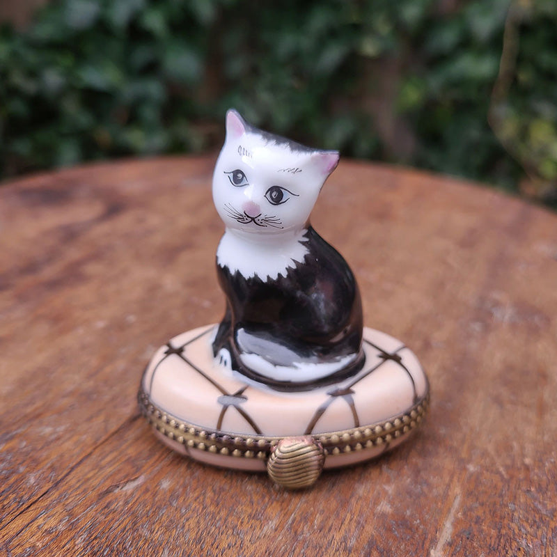 リモージュ キャット ピルケース Limoges 猫 陶器 フランス 
