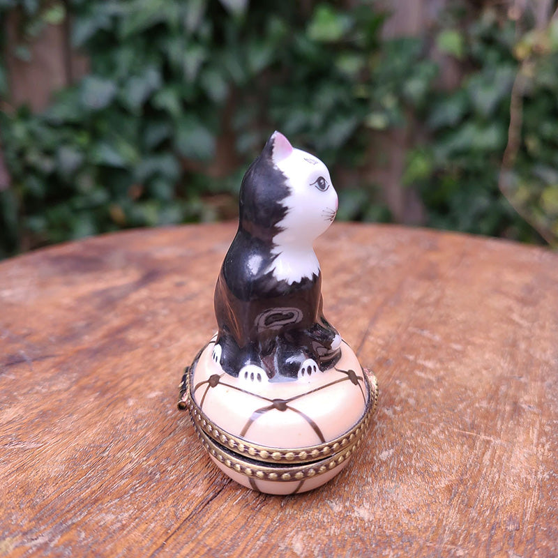 ☆美品☆リモージュボックス Limoges box 猫の小箱 ピルケース ☆ ☆美品☆リモージュボックス Limoges box 猫の小箱 ピルケース