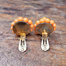 画像をギャラリービューアに読み込む, オレンジイヤリング
